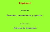 Tópicos I Unidad I Arboles de búsqueda Semana 1 Árboles, montículos y grafos.