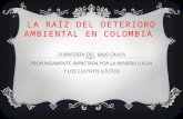LA RAÍZ DEL DETERIORO AMBIENTAL EN COLOMBIA SUBREGIÒN DEL BAJO CAUCA PROFUNDAMENTE IMPACTADA POR LA MINERIA ILEGAL Y LOS CULTIVOS ILÌCITOS.