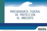La Procuraduría Federal de Protección al Ambiente es un órgano administrativo desconcentrado, con autonomía técnica y operativa, dependiente de la Secretaría.