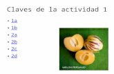 Claves de la actividad 1 1a 1b 2a 2b 2c 2d. 1) De las legumbres que en España se comen no habían ninguna en el Perú, conviene a saber: lechugas, escarolas,