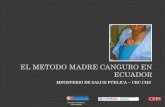 EL METODO MADRE CANGURO EN ECUADOR MINISTERIO DE SALUD PÚBLICA – URC.CHS Dirección Provincial de Salud Cotopaxi.