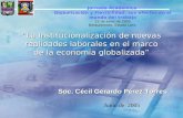 “La Institucionalización de nuevas realidades laborales en el marco de la economía globalizada” Soc. Cécil Gerardo Pérez Torres Junio de 2005 Jornada Académica.