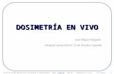 DOSIMETRÍA EN VIVO Curso de Actualización para Tecnólogos en Radioterapia. ARCAL RLA6/058 Tema 23 : Dosimetría in vivo. J.M Delgado 1 2008-10 Jose Miguel.