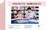 PROYECTO NUMERARIO. Promoción y desarrollo del pensamiento matemático en niños y niñas de preescolar, 1º, 2º y 3º de educación básica primaria en Instituciones.