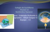 Profesora : Gabriela Pichardo Lozada Integrantes : Eliud Gaspar Cruz Equipo : 13.