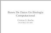 Bases De Datos En Biología Computacional Cristian S. Rocha 28 de Mayo del 2002.