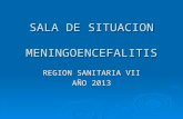 SALA DE SITUACION MENINGOENCEFALITIS REGION SANITARIA VII AÑO 2013.