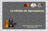 La Misión de Agroasemex Estableciendo la esencia organizacional: El TODO desde el YO.
