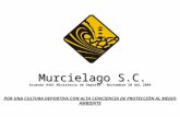 Murcielago S.C. Acuerdo #461 Ministerio de Deporte - Noviembre 20 del 2008 POR UNA CULTURA DEPORTIVA CON ALTA CONCIENCIA DE PROTECCIÓN AL MEDIO AMBIENTE.