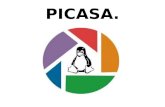 PICASA.. ¿Qué es Picasa? Picasa forma parte de las aplicaciones que ofrece Google gratuitamente y es un organizador y editor de fotografías digitales,