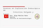 Avances en Exploración Endoscópica de Intestino Delgado y Colon. Dra. Olga Marina Hano García Instituto de Gastroenterología.