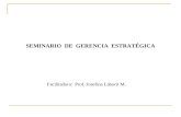 SEMINARIO DE GERENCIA ESTRATÉGICA Facilitadora: Prof. Josefina Laborit M.