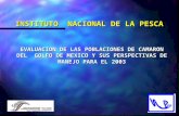 INSTITUTO NACIONAL DE LA PESCA EVALUACION DE LAS POBLACIONES DE CAMARON DEL GOLFO DE MEXICO Y SUS PERSPECTIVAS DE MANEJO PARA EL 2003.