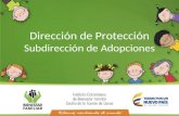 Dirección de Protección Subdirección de Adopciones.