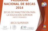 PROGRAMA NACIONAL DE BECAS 2014 BECAS DE MANUTENCIÓN PARA LA EDUCACIÓN SUPERIOR (ANTES PRONABES) BECA SUPERIOR.