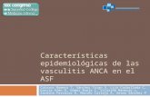Características epidemiológicas de las vasculitis ANCA en el ASF Caínzos Romero T, Sánchez Trigo S, Lijó Carballeda C, García Alén D, Gómez Buela I, Vilariño.