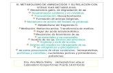 XI. METABOLISMO DE AMINOACIDOS Y SU RELACION CON OTRAS VIAS METABOLICAS.  Mecanismos gales. de degradación de aa.  Desaminación oxidativa y no oxidativa.