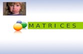Matrices1 MATRICES. MATRIZ Es un arreglo rectangular de números. Los números del arreglo se denominan elementos de la matriz.