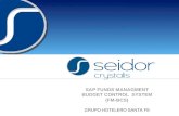 SAP FUNDS MANAGMENT BUDGET CONTROL SYSTEM (FM-BCS) GRUPO HOTELERO SANTA FE.