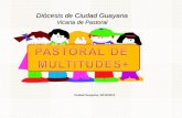 Diócesis de Ciudad Guayana Vicaria de Pastoral Ciudad Guayana, 22/10/2013.