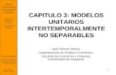 1 CAPITULO 3: MODELOS UNITARIOS INTERTEMPORALMENTE NO SEPARABLES José Alberto Molina Departamento de Análisis Económico Facultad de Economía y Empresa.