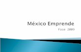 Fase 2009.   emprende.org.mx  01 800 910 0 910 Call Center de Atención  Centros México Emprende ◦ Actualmente existen 20 en desarrollo. ◦