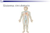 Sistema circulatorio. El aparato circulatorio Formado por:  El sistema cardiovascular, por el que circula la sangre  El sistema linfático, por el que.