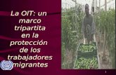 1 La OIT: un marco tripartita en la protección de los trabajadores migrantes.