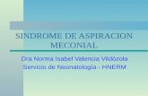 SINDROME DE ASPIRACION MECONIAL Dra Norma Isabel Valencia Vildózola Servicio de Neonatología - HNERM.