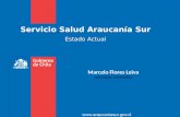 Servicio Salud Araucanía Sur Estado Actual Marcelo Flores Leiva Jefe Depto. Informática .