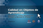 Calidad en Objetos de Aprendizaje Christian L. Vidal, Alejandra A. Segura, y Manuel E. Prieto SPEDECE 08.