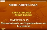 Mercadotecnia en Organizaciones no Lucrativas 1-1  Copyright 2002MERCADOTECNIA LAURA FISCHER JORGE ESPEJO CAPITULO 15 Mercadotecnia en Organizaciones.