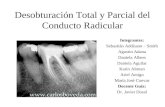 Desobturación Total y Parcial del Conducto Radicular Integrantes: Sebastián Addisson – Smith Agustin Adana Daniela Albers Daniela Aguilar Karin Altman.