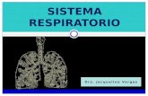 Dra. Jacqueline Vargas SISTEMA RESPIRATORIO. Contenido Definición Funciones Estructuras Ventilación Pulmonar Ventilación Pulmonar.