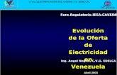 Abril 2003 C.V.G. ELECTRIFICACIÓN DEL CARONÍ, C.A. (EDELCA) Foro Regulatorio IESA-CAVEINEL Evolución de la Oferta de Electricidad en Venezuela Ing. Angel.