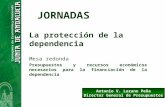 JORNADAS La protección de la dependencia Mesa redonda Presupuestos y recursos económicos necesarios para la financiación de la dependencia Antonio V. Lozano.