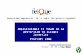 Federación Empresarial de la Industria Química Española Implicaciones de REACH en la prevención de riesgos laborales PREVEXPO 2008 Francisco Pérez García.