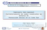 Seminario Sub-regional Fortalecimiento de redes sindicales en materia de Protección Social en el Cono Sur Seminario Sub-regional Fortalecimiento de redes.