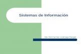 Sistemas de Información Ma. Del Carmen Lizárraga Rangel.