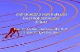 ENFERMEDAD POR REFLUJO GASTROESOFÁGICO (ERGE) Prof. Raúl A. Brizuela Quintanilla. Dr.C. I.S.M.M.”Dr. Luis Díaz Soto” ENFERMEDAD POR REFLUJO GASTROESOFÁGICO.