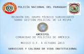 REUNIÓN DEL GRUPO TÉCNICO SUBSIDIARIO SOBRE GESTIÓN POLICIAL DE LA MISPA AMERIPOL COMUNIDAD DE POLICÍAS DE AMÉRICA MEXICO D.F. 8 OCTUBRE 2013 SERVICIOS.