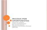 M ICOSIS POR OPORTUNISTAS Factores del hospedero Factores medioambientales Bioq. Verónica Ampuero Asignatura: Parasitología y Micología FQBF-UNSL.
