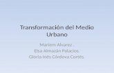 Transformación del Medio Urbano Mariem Alvarez. Elsa Almazán Palacios. Gloria Inés Córdova Cortès.