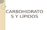 CARBOHIDRATOS Y LÍPIDOS. CARBOHIDRATOS Sinónimos: azucares, glúcidos, hidrato de carbono, sacáridos. Definición: moléculas formadas por carbono, hidrogeno.