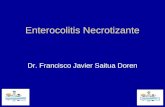 Enterocolitis Necrotizante Dr. Francisco Javier Saitua Doren.