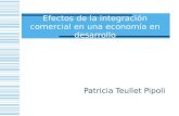 Efectos de la integración comercial en una economía en desarrollo Patricia Teullet Pipoli.