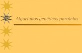 Algoritmos genéticos paralelos. 2 Contenidos  Introducción a los algoritmos genéticos  Paralelización de algoritmos genéticos.