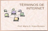 TÉRMINOS DE INTERNET Prof. María G. Rosa-Rosario.