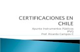 Apunte Instrumentos Públicos IPVG Prof. Ricardo Campos C.