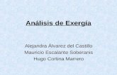 Análisis de Exergía Alejandra Álvarez del Castillo Mauricio Escalante Soberanis Hugo Cortina Marrero.